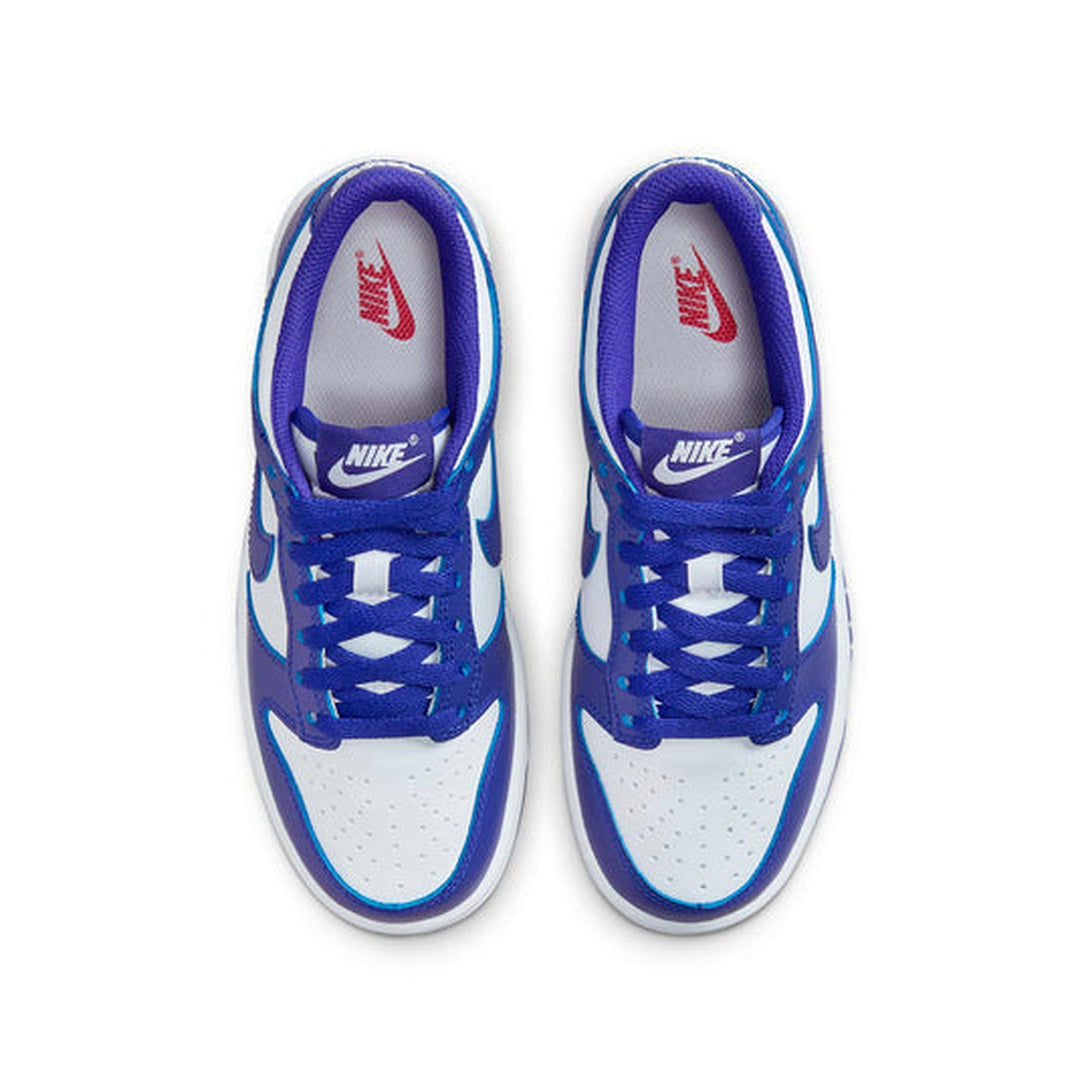 Nike Dunk Low 'Concord'- Streetwear Fashion 950 - levefly.com